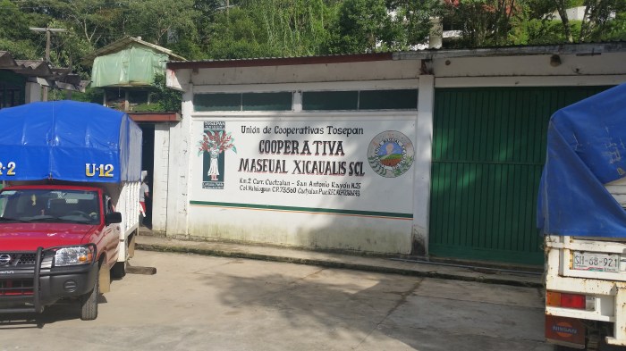 Kaffeegenossenschaft der Union Tosepan Titataniske